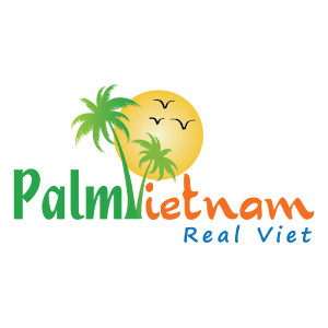 Palm Vietnam Travel 1.0