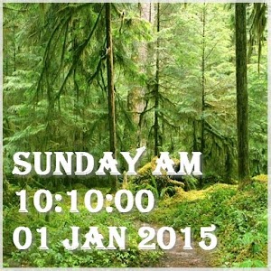 Forest Live Wallpaper.apk 1.0