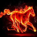3D Horses