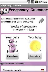 Pregnancy calendar