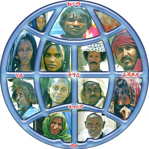 免費下載新聞APP|Eritrean News app開箱文|APP開箱王