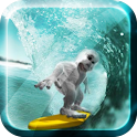 Penguin Surfing