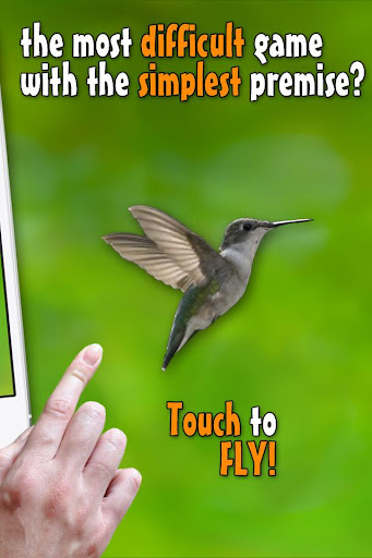 【免費休閒App】Real bird: Tap to play!-APP點子