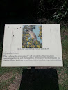 Yellow Crowned Night Heron Plaque