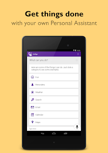 Indigo Virtual Assistant