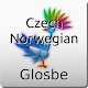 Czech-Norwegian Dictionary APK