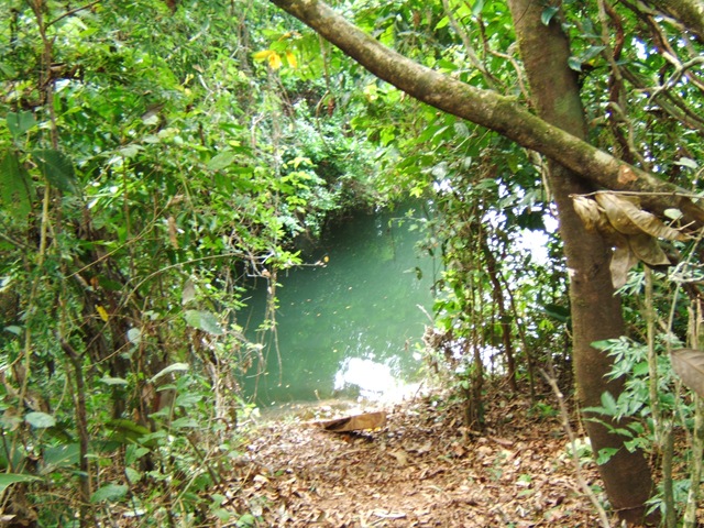 [DSCF19273.jpg]