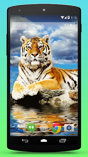 【免費個人化App】Tiger Live Wallpaper-APP點子