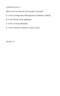 ITIL EX0-100 Prep Exam Screenshots 2