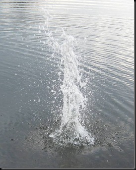 Splash