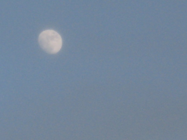 [IMG_03733.jpg]