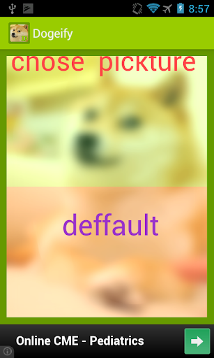 Dogeify- Custom Doge GREEN