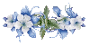 344.gif