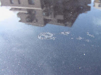 Vw ゴルフ ｇｔｉ 鳥の糞を放っていた為に 塗装が剥がれた 泣 Vw ジェッタの圧倒的キレイさを誇る洗車術