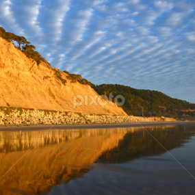 by Kathleen Koehlmoos - Novices Only Landscapes