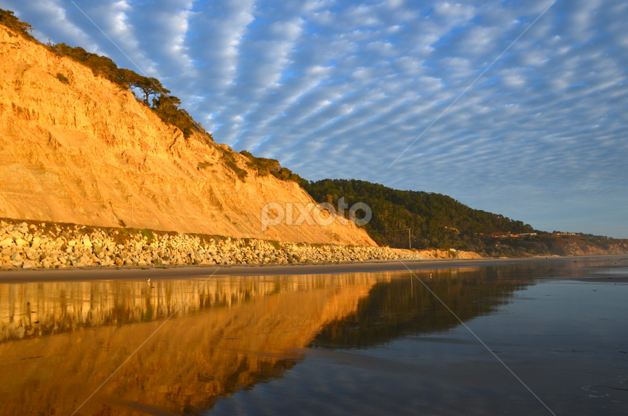 by Kathleen Koehlmoos - Novices Only Landscapes