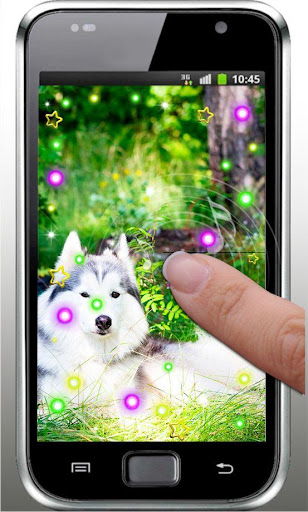 免費下載個人化APP|Pet Dog Free live wallpaper app開箱文|APP開箱王