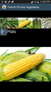 How to mod vegetables's names in french lastet apk for laptop