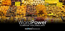 Learn Turkish WordPower APK