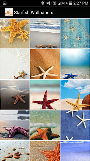 Starfish Wallpapers