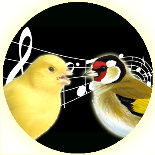 Singing Canary Goldfinch Train LOGO-APP點子