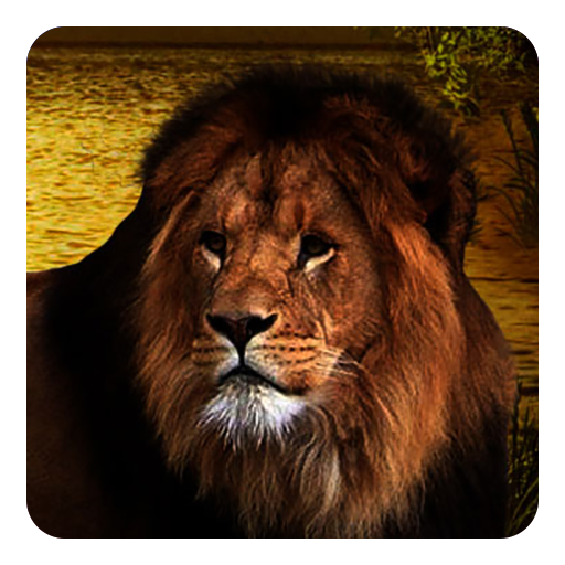 狮子动态壁纸 個人化 App LOGO-APP開箱王