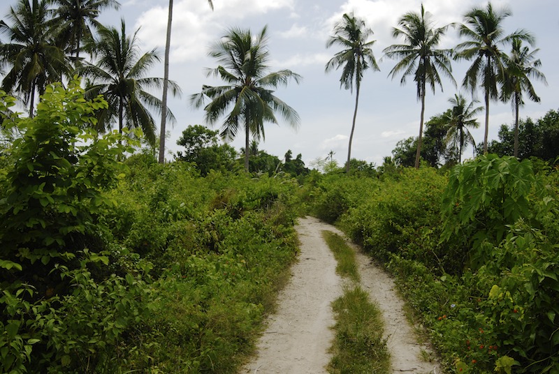 20080422_0002_dirtroad.jpg