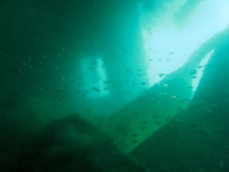 20080709_0017_fishwindow.jpg
