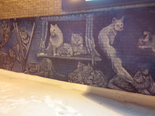 Kitty Cat Mural