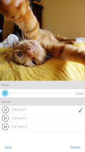 How to install Pic-Pet Camera 1.0 mod apk for pc
