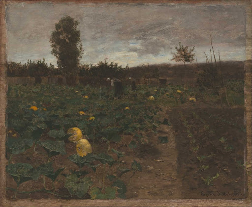 A Pumpkin Field