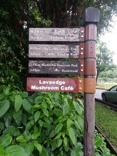 To MacRitchie Nature Trail