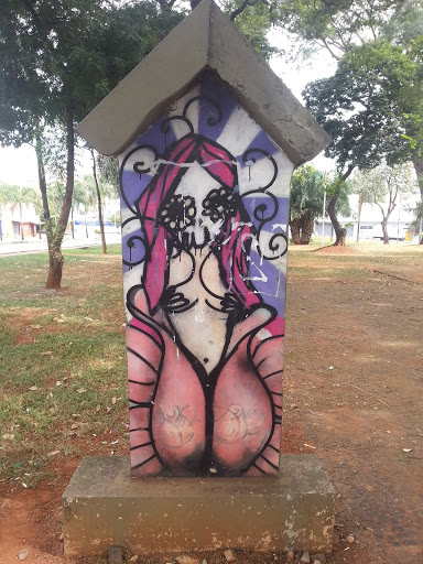 Grafiti Seta Da Mulher Caveira Rosa