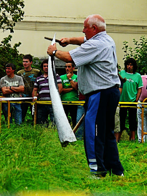 segalari laguntzailea