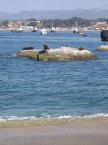 [clip_image011[3].jpg]