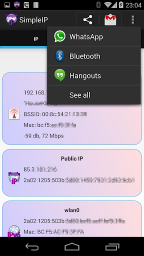 SimpleIP - View IPv4 and IPv6