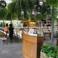 菁芳園 Tenway Garden／花園餐廳／落羽松