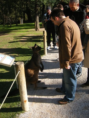 Yarra Valley 013