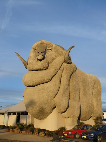 [canberra 033[4].jpg]