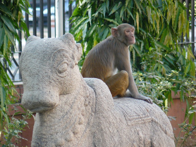 [delhi0434.jpg]