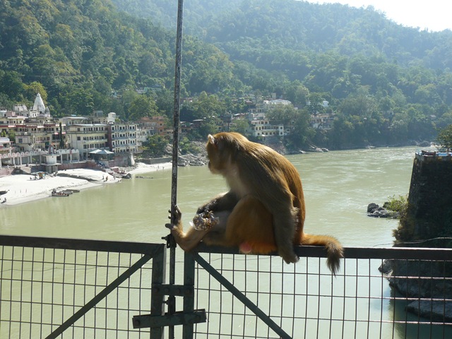 [rishikesh0035.jpg]
