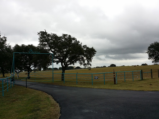 Picosa Ranch Air Strip GATE 1