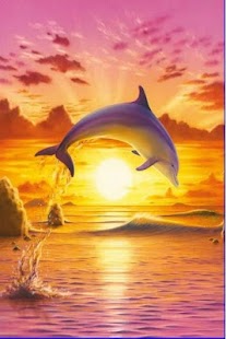 Dolphin Wallpaper 3D FREE Screenshots 17