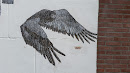 Flying Falcon 
