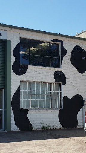 Jersey Cow Wall Mural