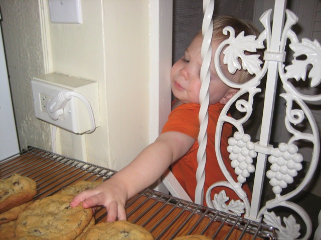 [DavidPhotos0083.jpg]