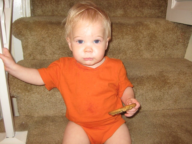 [DavidPhotos0023.jpg]