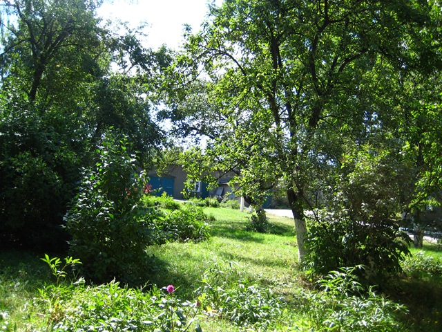 [IMG_21401.jpg]
