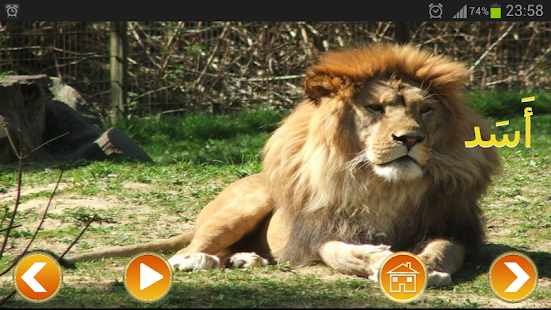 Free Download عالم الحيوانات APK