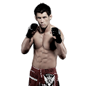 Dominick Cruz widgets logo
